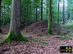 Eisen-Mangan-Bergbau im Lochborner Revier bei Bieber, Nordspessart, Hessen, (D) (1) 31. Mai 2014.JPG